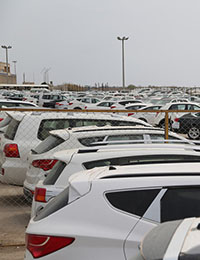 قیمت خودروهای وارداتی در آستانه پایین آمدن است؟!